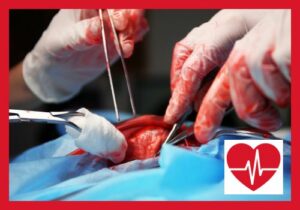 Herztransplantation: Ablauf, Gefahren & Kosten