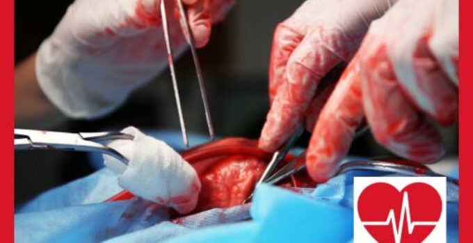 Herztransplantation: Ablauf, Gefahren & Kosten