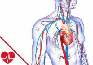 Aortenaneurysma: Ursachen, Symptome und Behandlungsmethoden